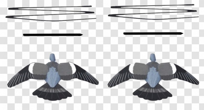 Columbidae Common Wood Pigeon Flying Enforcer Pigeon-shooting - Logo - Creative Transparent PNG