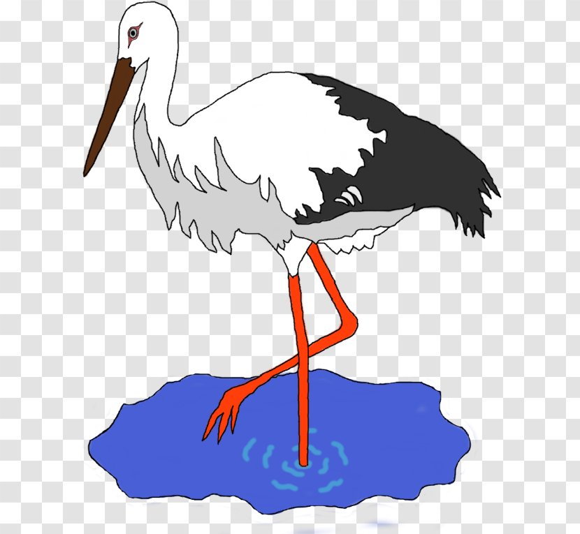 Bird White Stork Clip Art - Pond Transparent PNG