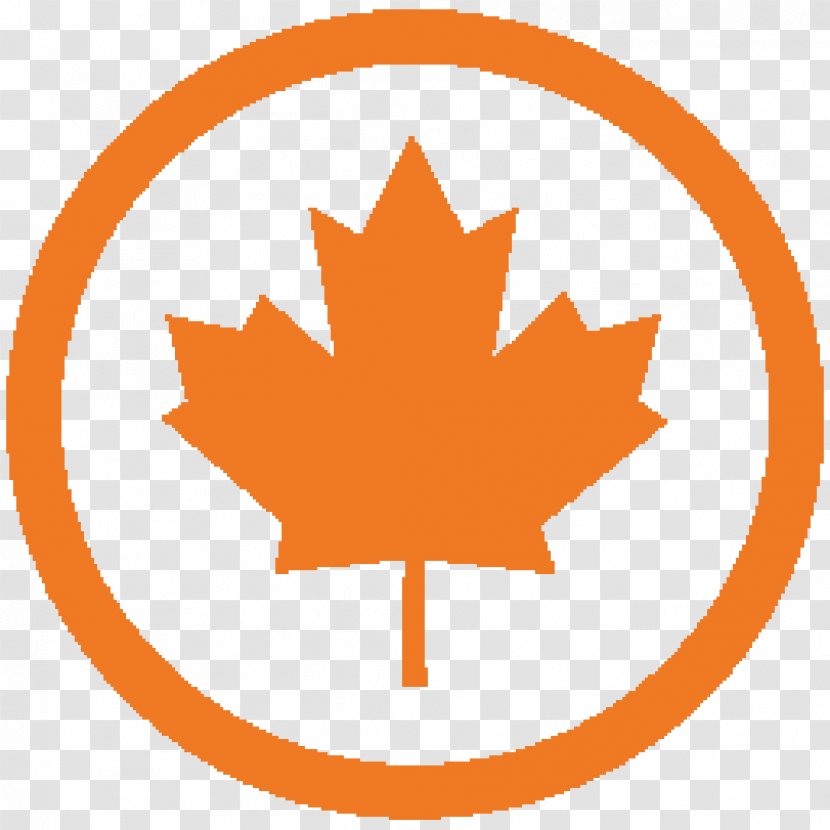 Canada Maple Leaf - Flag - Symbol Plant Transparent PNG