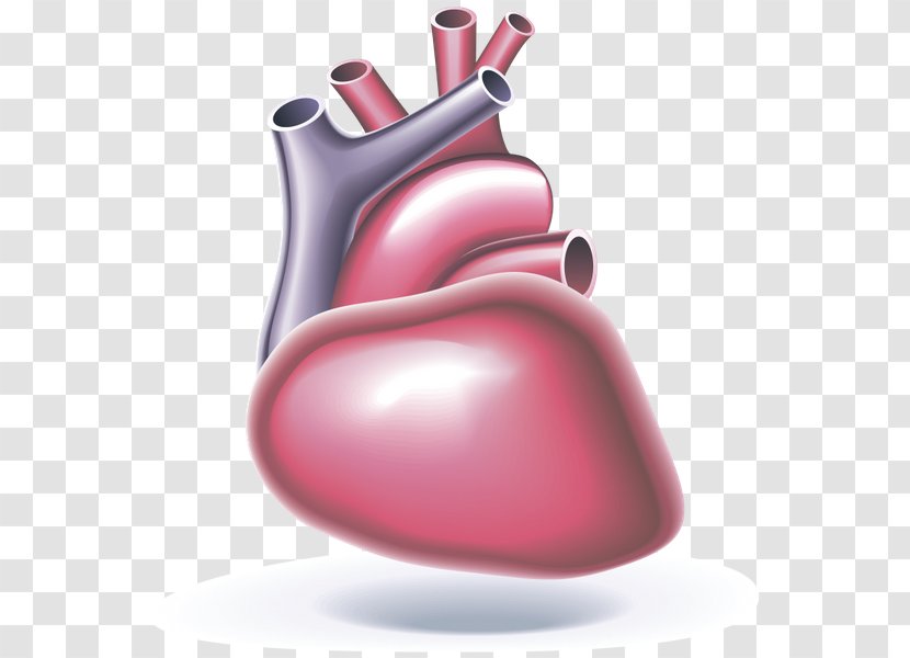 Cardiac Arrest Automated External Defibrillators Heart Cardiopulmonary Resuscitation Cardiology - Frame Transparent PNG