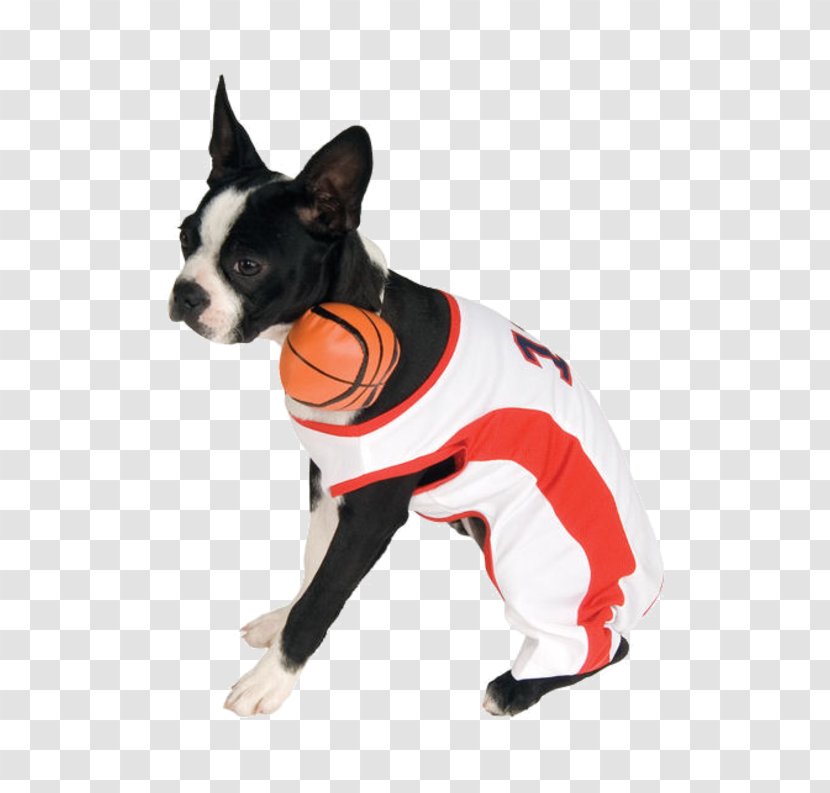 Dog Breed Pet Basketball Companion - Halloween Costume Transparent PNG