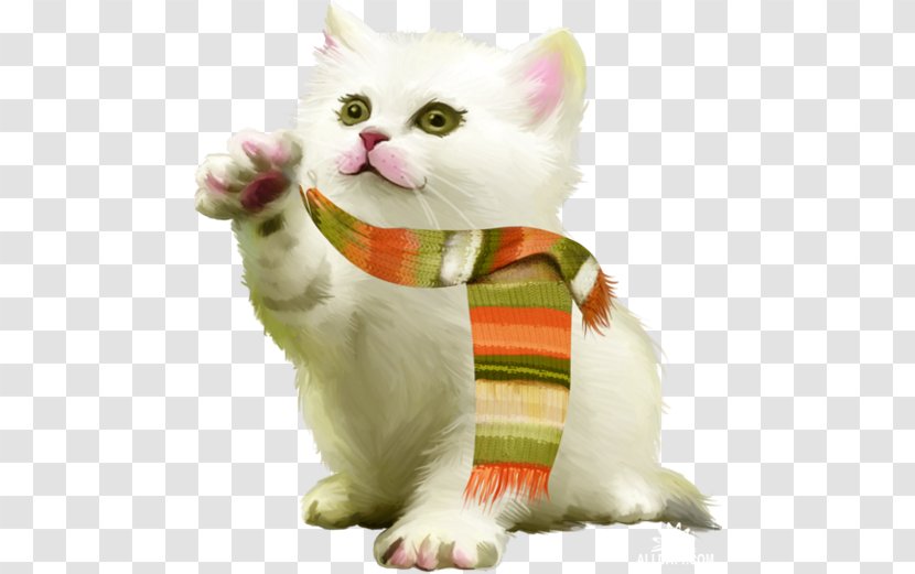 Cat Animation - Carnivoran Transparent PNG