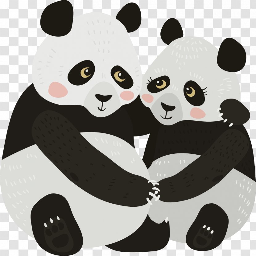 Giant Panda Euclidean Vector Drawing Illustration - Carnivoran Transparent PNG