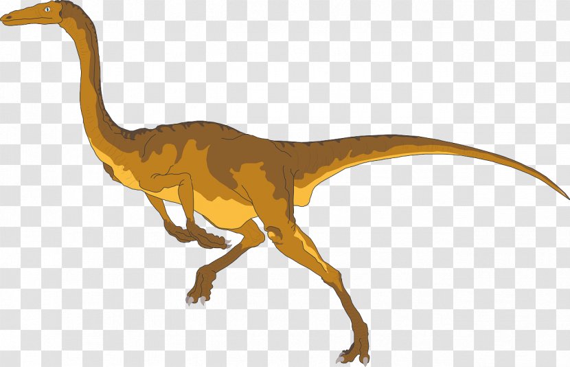 Gallimimus Tyrannosaurus Eousdryosaurus Late Cretaceous Ornithomimus - Tail - Dinosaur Transparent PNG