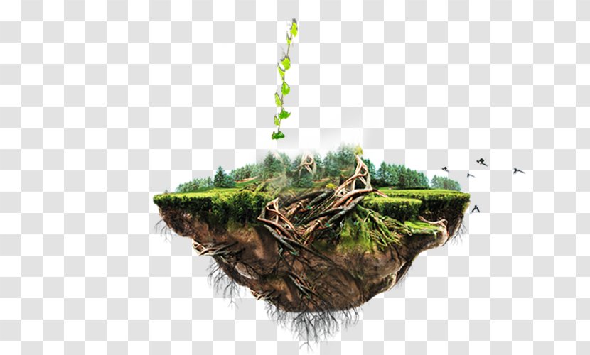 Floating Island - Plant - Grass Transparent PNG