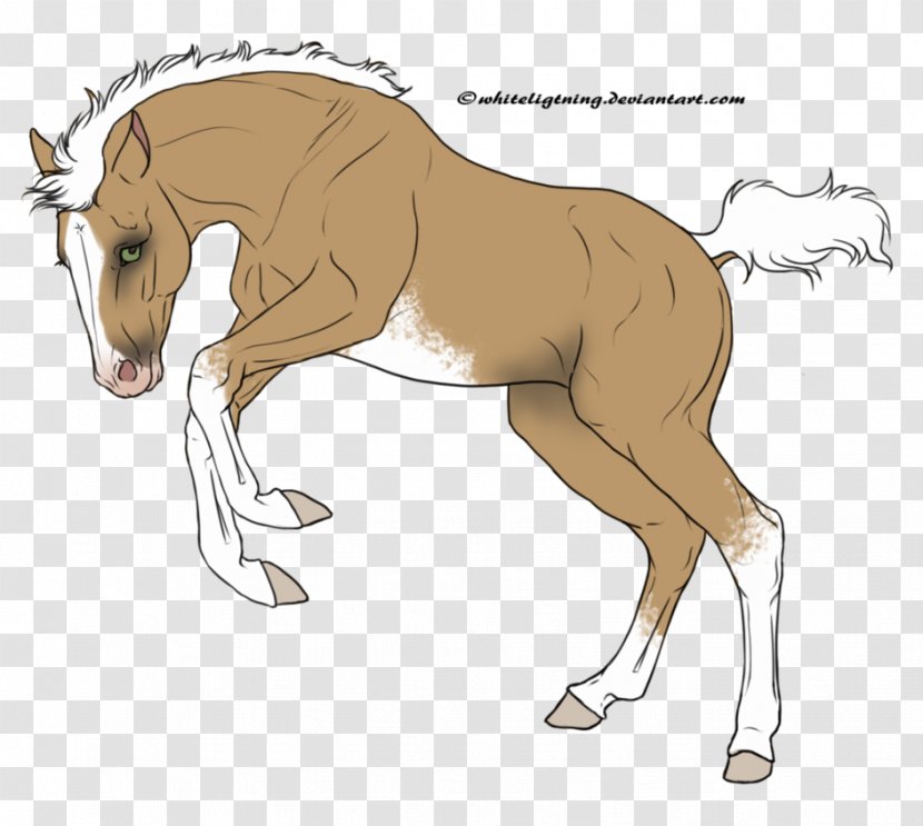 Foal Mane Stallion Mare Colt - Livestock - Mustang Transparent PNG