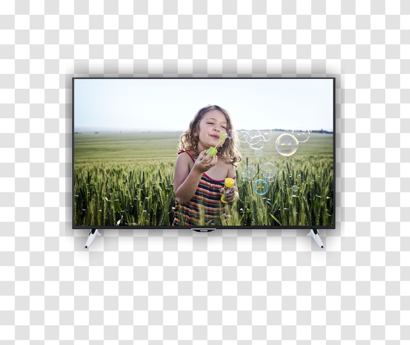 Stock Photography Television Set High-definition - Rectangle - Fernsehempfang Transparent PNG