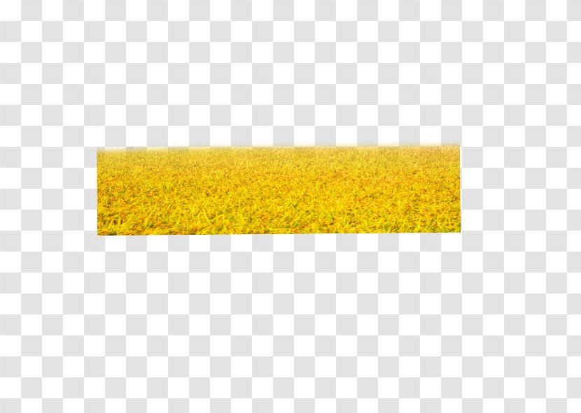 Yellow Pattern - Grass - Wheat Field Transparent PNG