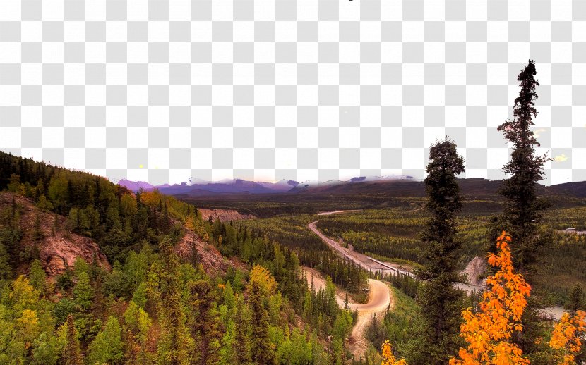 Denali High-definition Television National Park Desktop Environment Wallpaper - United States - Three Transparent PNG