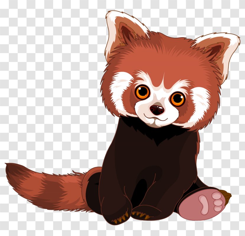 Red Panda Giant Royalty-free - Fur Transparent PNG
