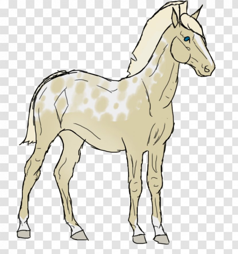 Mule Foal Stallion Mare Colt - Donkey Transparent PNG