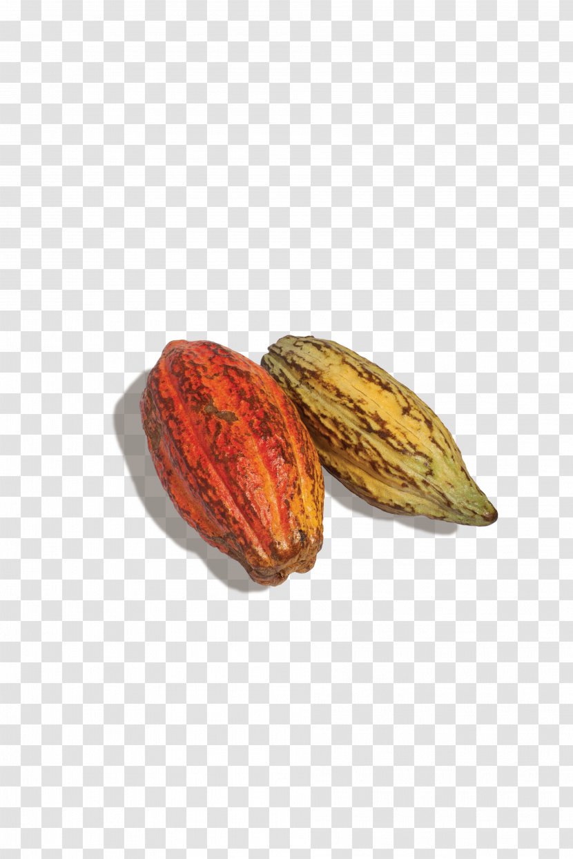 Cocoa Bean Food Nut Flavan-3-ol CocoaVia - Nuts Seeds Transparent PNG