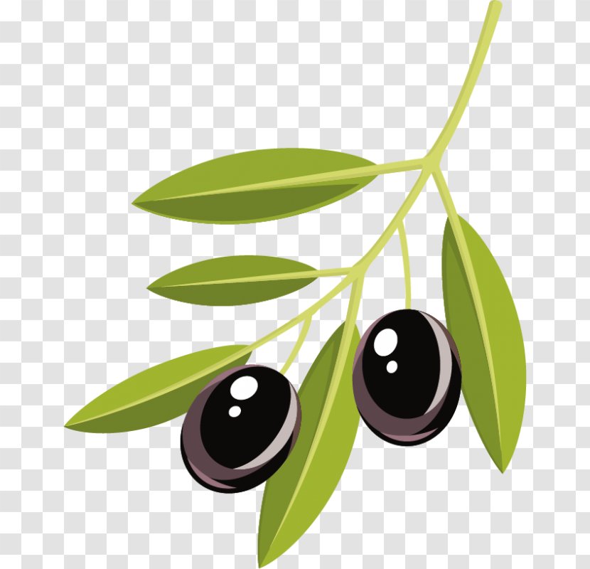 Olive Branch - Sticker Transparent PNG