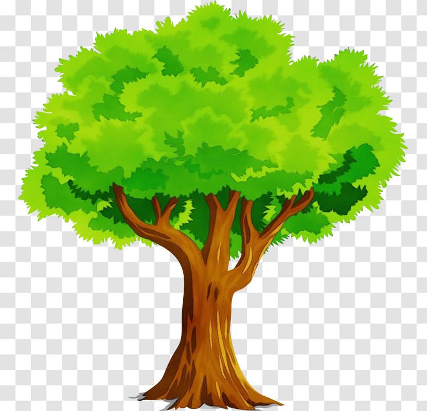 Oak Tree Leaf - Green - Root Trunk Transparent PNG