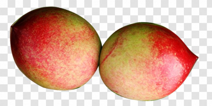 Peach Fruit Transparent PNG