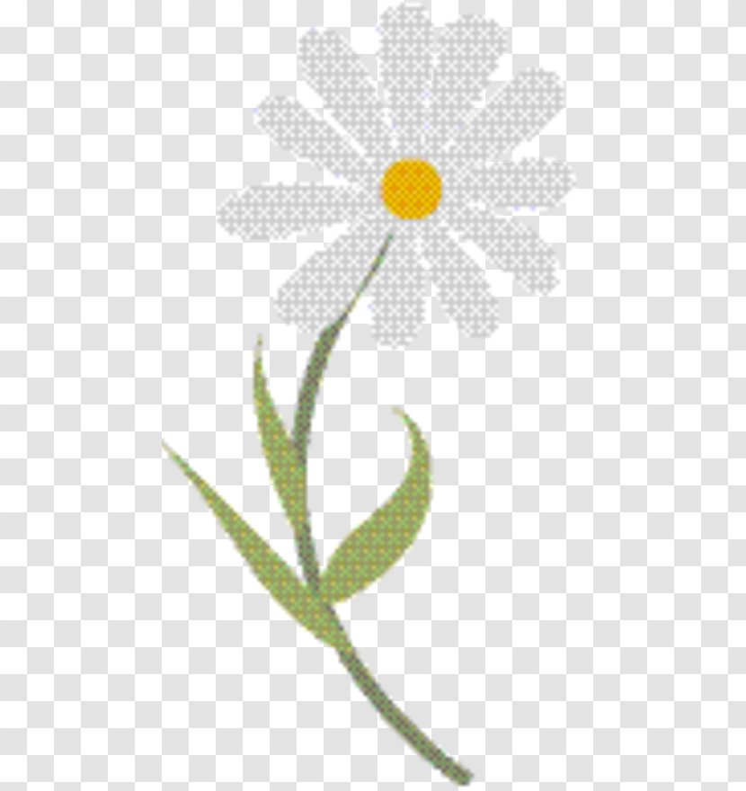 Plants Background - Oxeye Daisy - Family Wildflower Transparent PNG