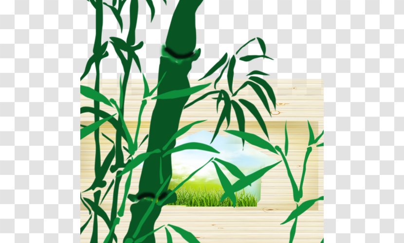 Bamboo Brush - Plant Stem - Wall Decoration Sail Transparent PNG