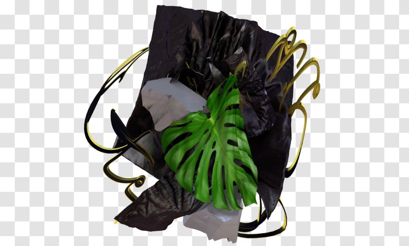 Plant Flower - Monstera Transparent PNG