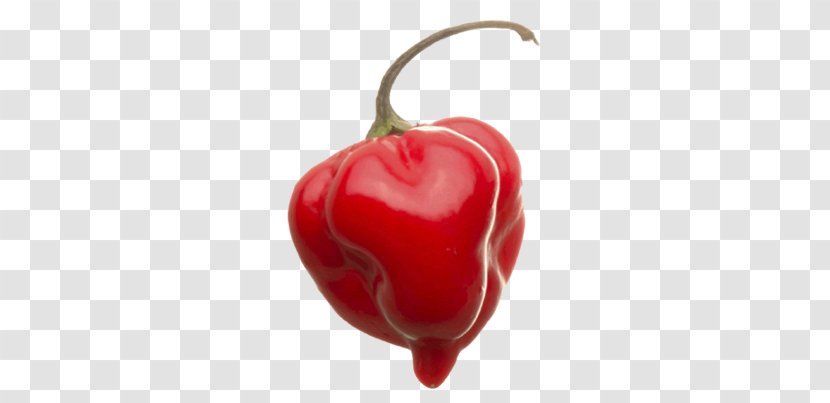 Habanero Piquillo Pepper Serrano Tabasco Cayenne - Acerola - Bhut Jolokia Transparent PNG