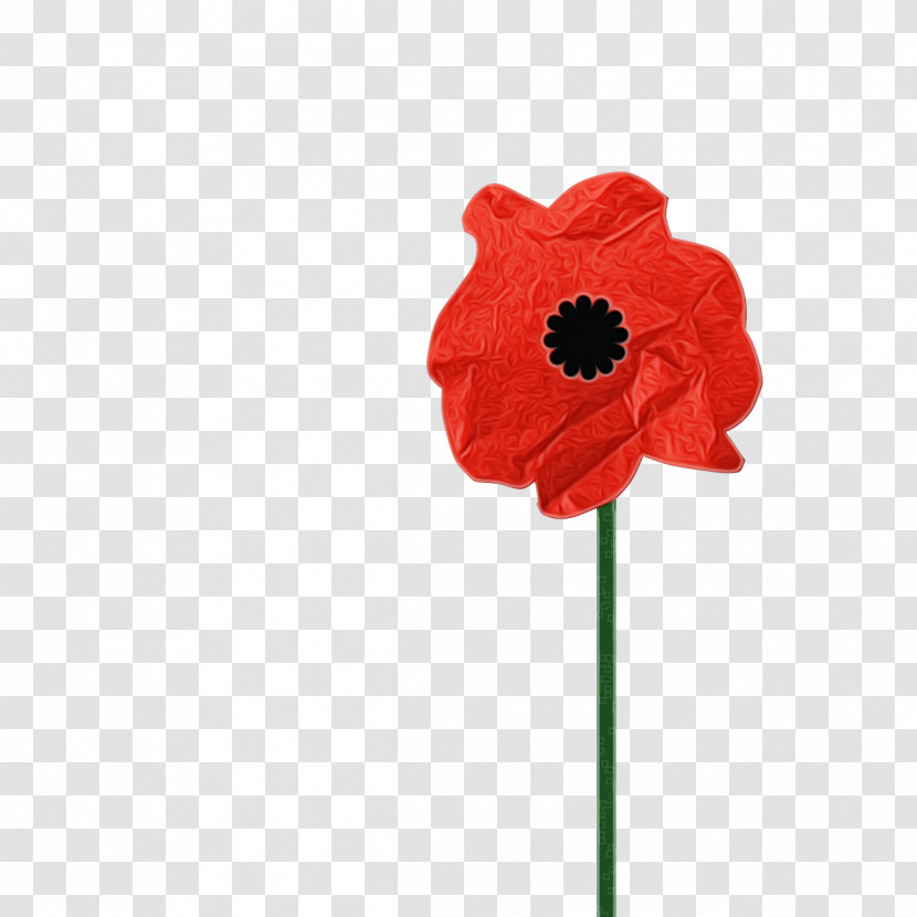 Red Flower Poppy Coquelicot Petal Transparent PNG