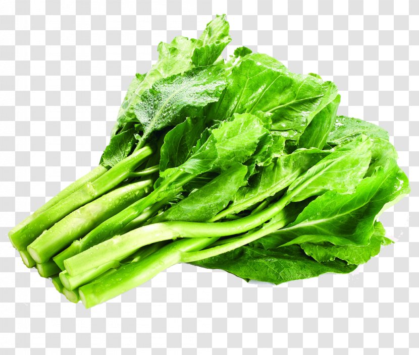 Romaine Lettuce Vegetarian Cuisine Kale Chinese Broccoli Collard Greens - Food - Green Vegetables Transparent PNG