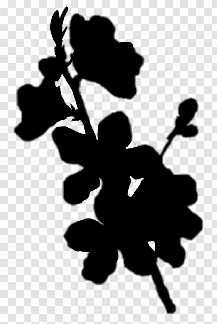 Clip Art Flowering Plant Silhouette Leaf - Botany - Branching Transparent PNG