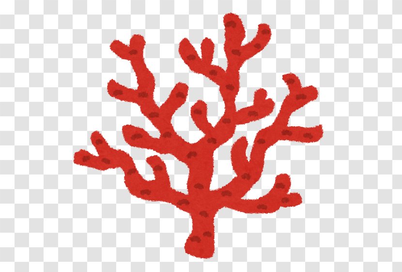 Coral Reef いらすとや Red - Branch - Watercolor Transparent PNG