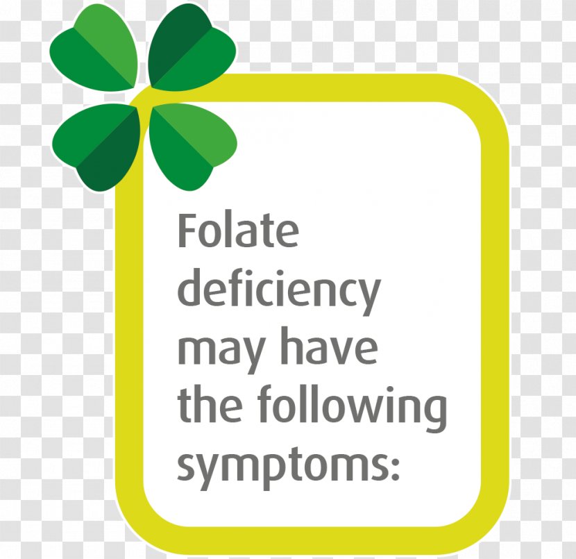Folate Deficiency Disease Anemia - Leaf - Spotlight Effect9 Transparent PNG