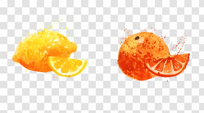 Orange Fruit Auglis Food - Watermelon - Cartoon Hand Painted Lemon Transparent PNG