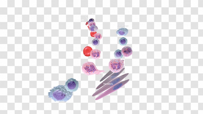 Immune System Immunity Tissue Human Body Inflammation - Jewelry Making Transparent PNG