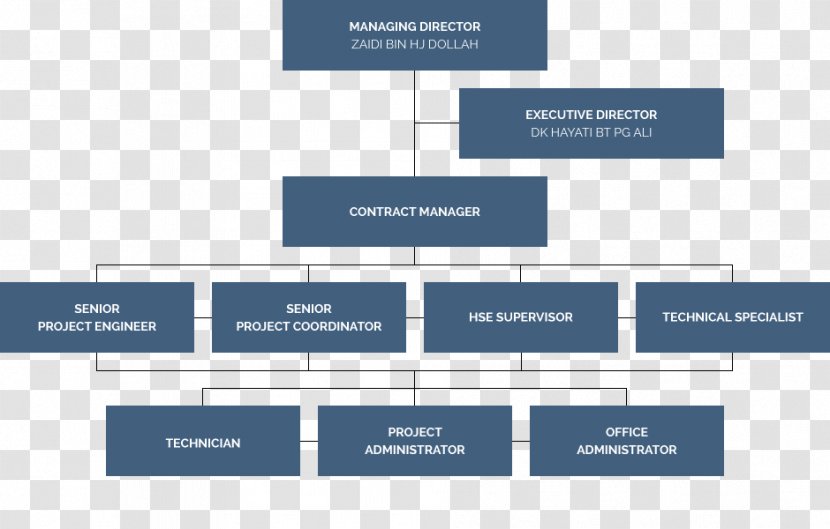 Organizational Chart Diagram Project Manager - Senior Management - Technology Transparent PNG