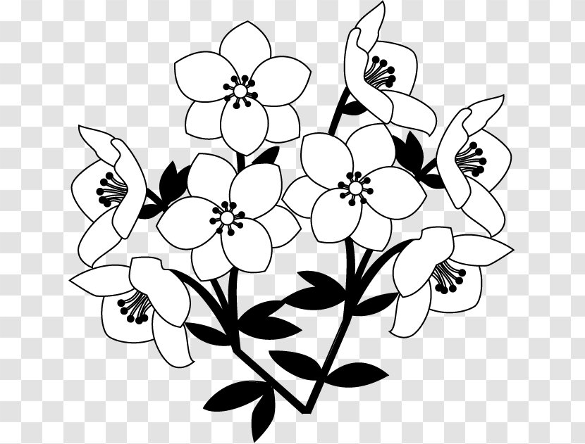Floral Design Petal Cut Flowers Leaf - Black And White - Hydrangea Vector Transparent PNG