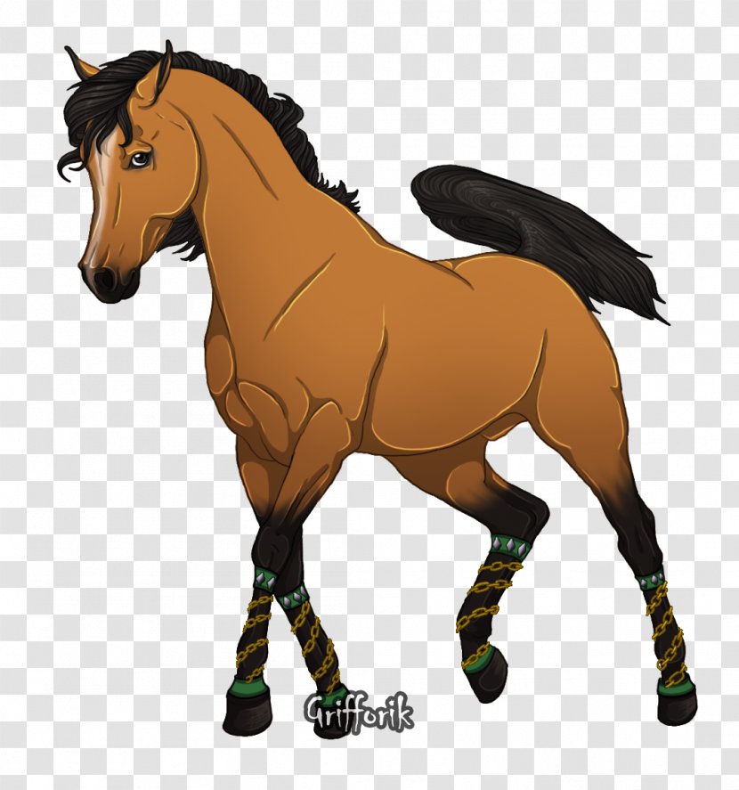 Mule Mustang Stallion Foal Mare - Cartoon Transparent PNG