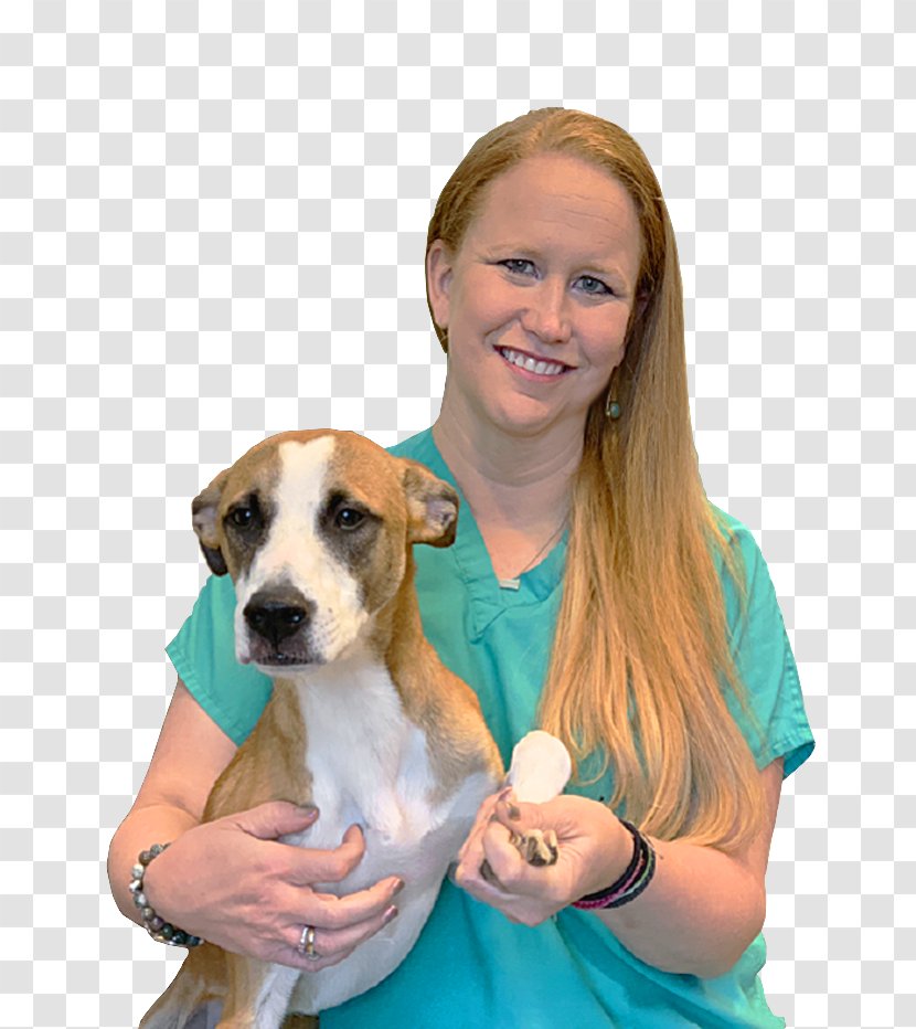 Dog Breed Companion Veterinarian Puppy - Rare Love Transparent PNG