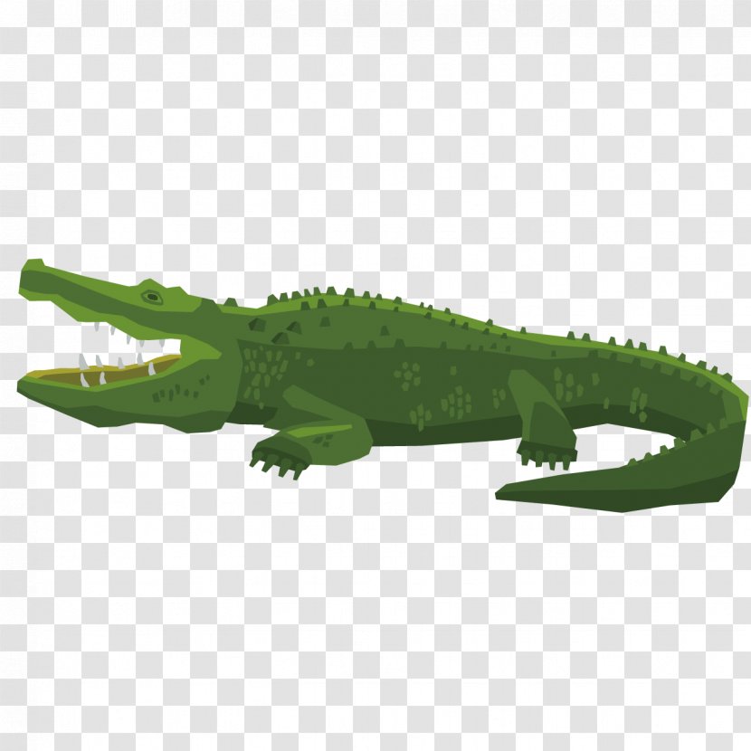 Amphibian Reptile Euclidean Vector Stock Photography - Organism - Ferocious Crocodiles Transparent PNG