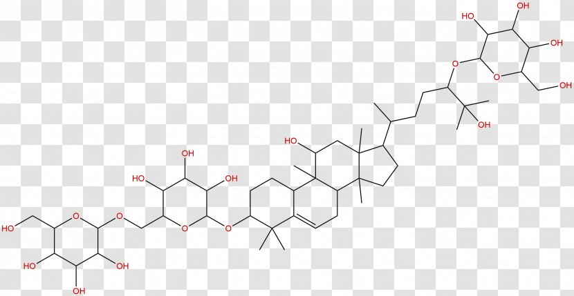 Line Point Angle Tree Diagram - Silhouette - Phytochemicals Transparent PNG