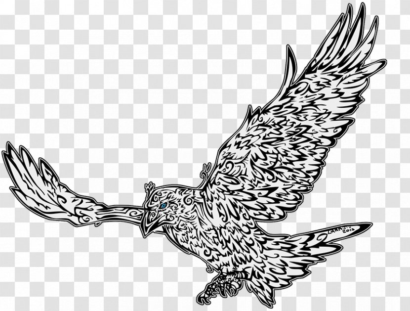 Eagle Owl Line Art Hawk Beak - Black And White Transparent PNG