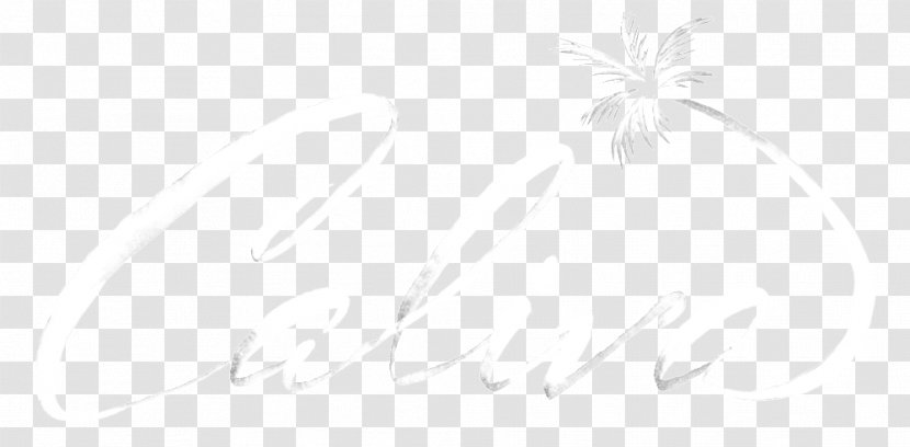 Line Art Drawing White Desktop Wallpaper - Black - Brush Strokes Transparent PNG