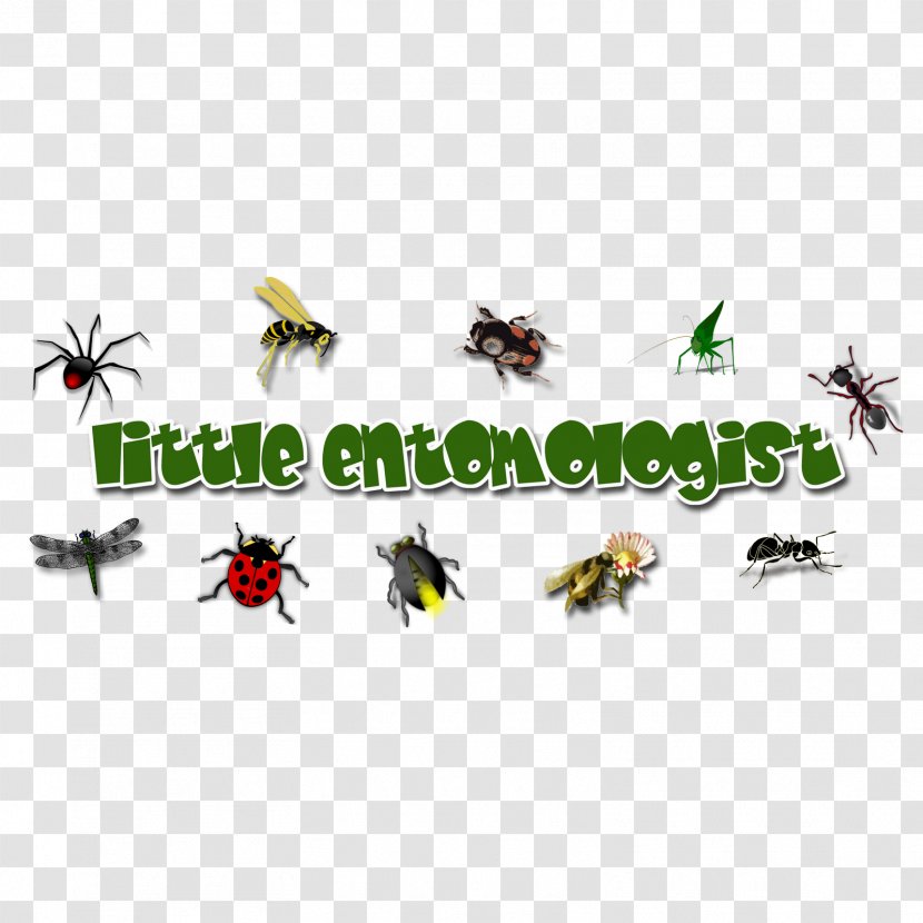 Insect Logo Pollinator Pest Font - Membrane Winged Transparent PNG