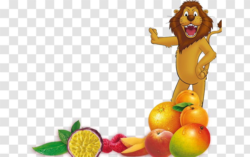 Lion Fruit Vegetarian Cuisine Felidae Food - Local Transparent PNG