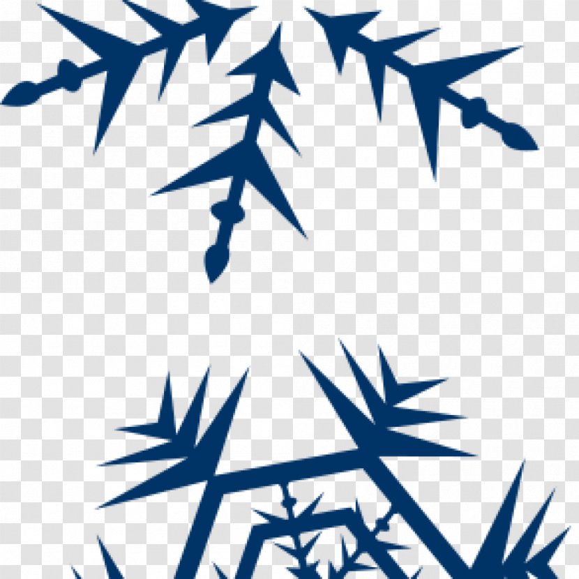 Clip Art Snowflake Vector Graphics Image - Plant Transparent PNG