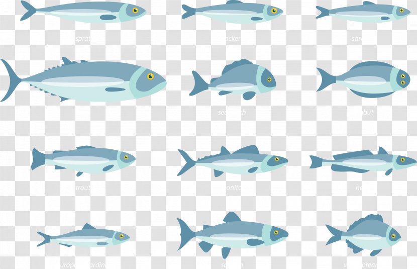 Fish Euclidean Vector - Aqua Transparent PNG