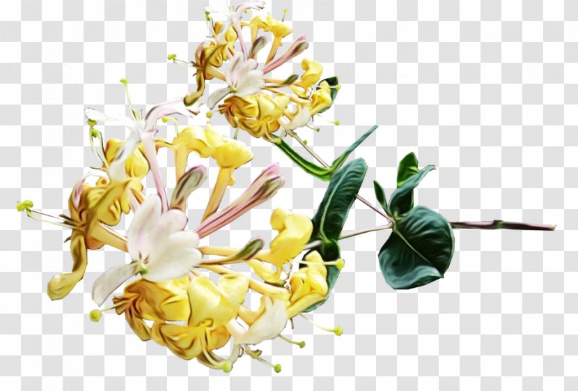 Flowers Background - Flower - Petal Ledum Transparent PNG