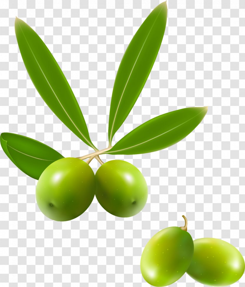 Olive Oil Plant Food Transparent PNG