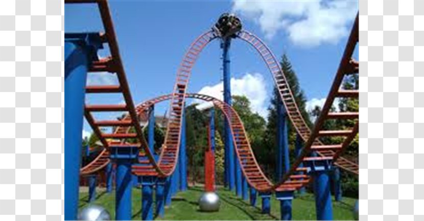 Roller Coaster Alton Towers Amusement Park Tourist Attraction Water - Recreation Transparent PNG