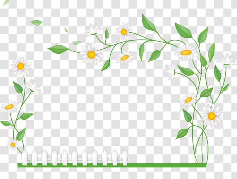 Green Photography - Leaf - Chrysanthemum Decoration Vector Transparent PNG