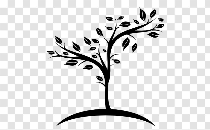 Fruit Tree - Pruning - Dead Trees Transparent PNG