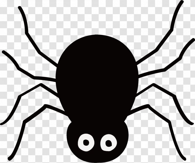 Spider Halloween - Head - Widow Arachnid Transparent PNG