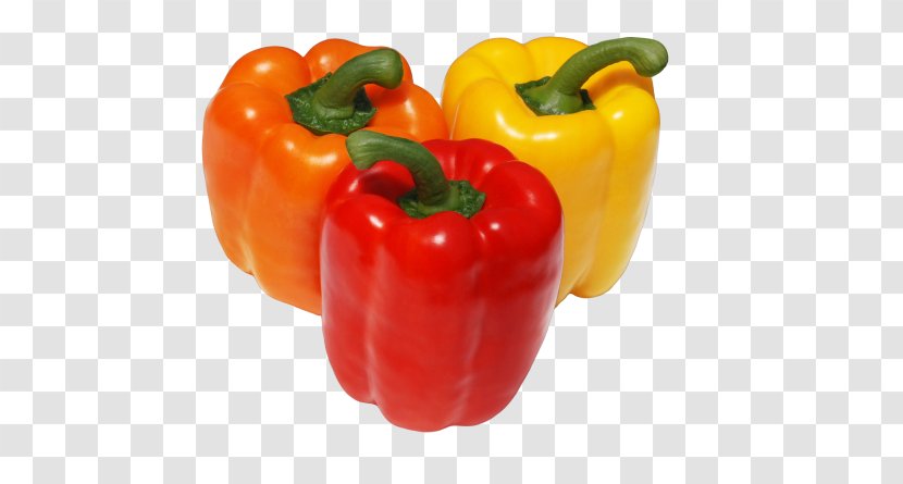 Chili Pepper Cayenne Friggitello Yellow Red Bell - Peppers - Vegetable Transparent PNG