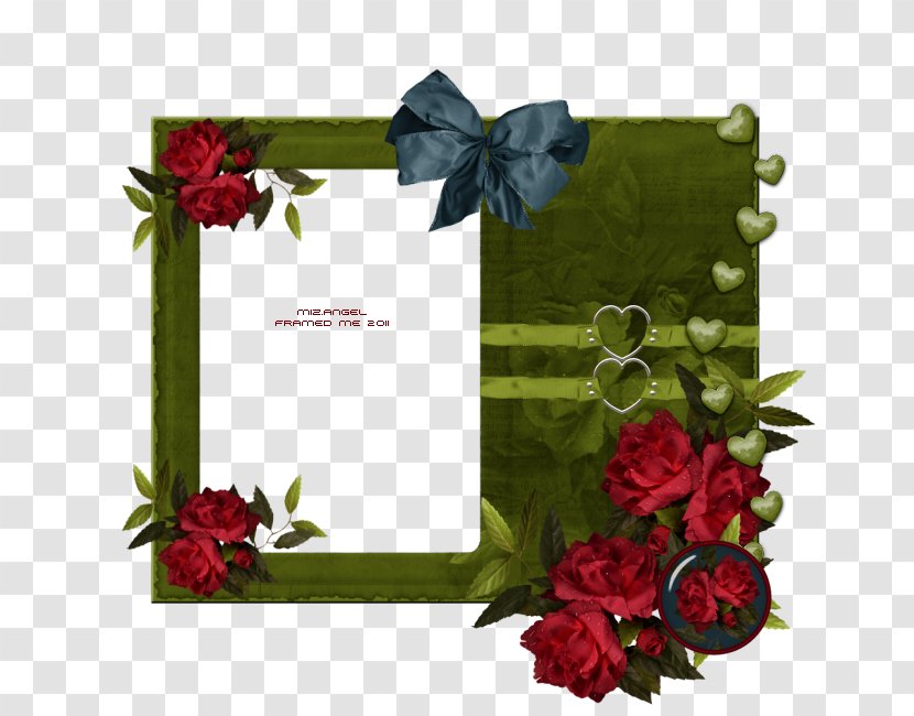 Picture Frames Photography Text - Flora - Rose Family Transparent PNG